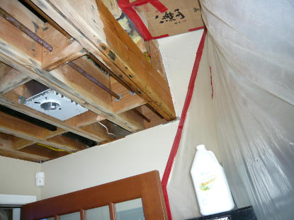 Toilet Leak: Mold removal, water damage restoration to ceiling below bathroom